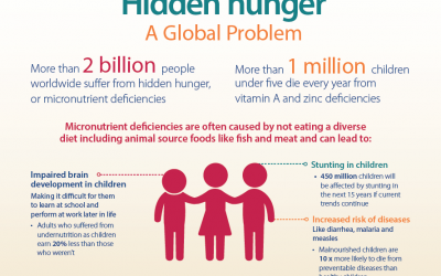 Hidden Hunger, A Global Catastrophe