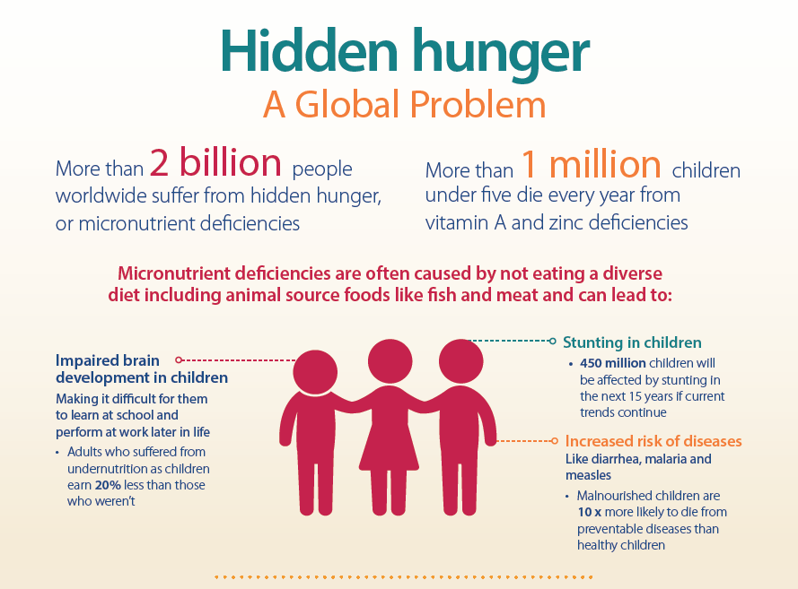 Hidden Hunger, A Global Catastrophe